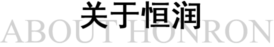 关于恒润 ABOUT HONRON